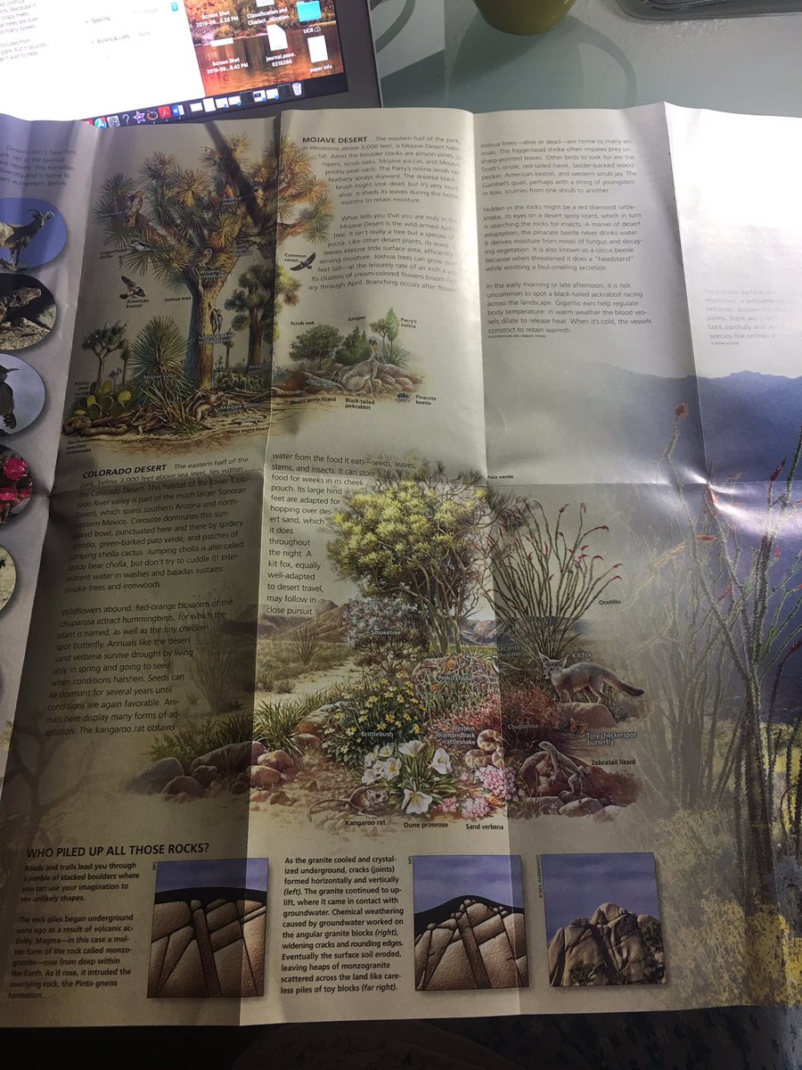 TaniaKurbs's tweet image. Finally finished writing up my prescientist's letter. I'm excited to use all my Fungi relevant stationary plus some cat ones too 😸🍄I'm also including a guide to Joshua tree, maybe it'll help her envision a desert scape better! @LettersPreSci #firstletter