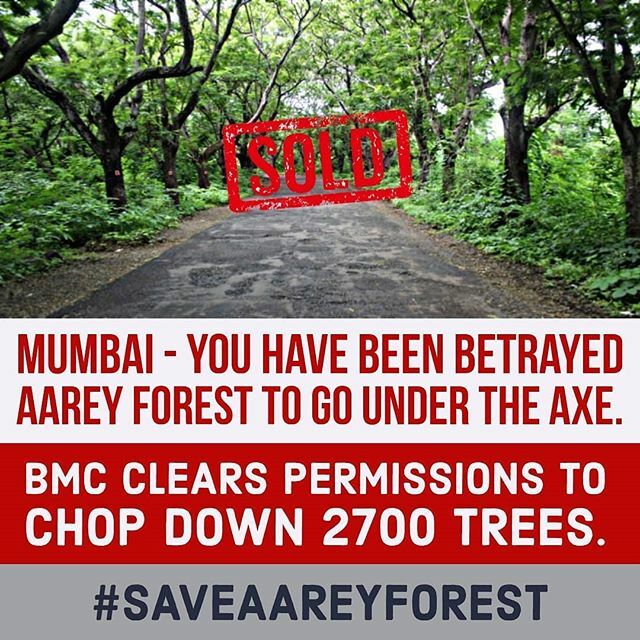 itsenufapp's tweet photo. #heartbroken #aareycolony #aarey #lungsofmumbai #mumbai #india #livesindanger #environment #encroachment #saveourforests #savetheearth #savelives #saveaareysavemumbai #saveaareycommunity #wildlifeconservation #wildlifeindia #savemumbai #saveourcountry #saveourplanet #savewil… https://t.co/7kuSUEhHj9