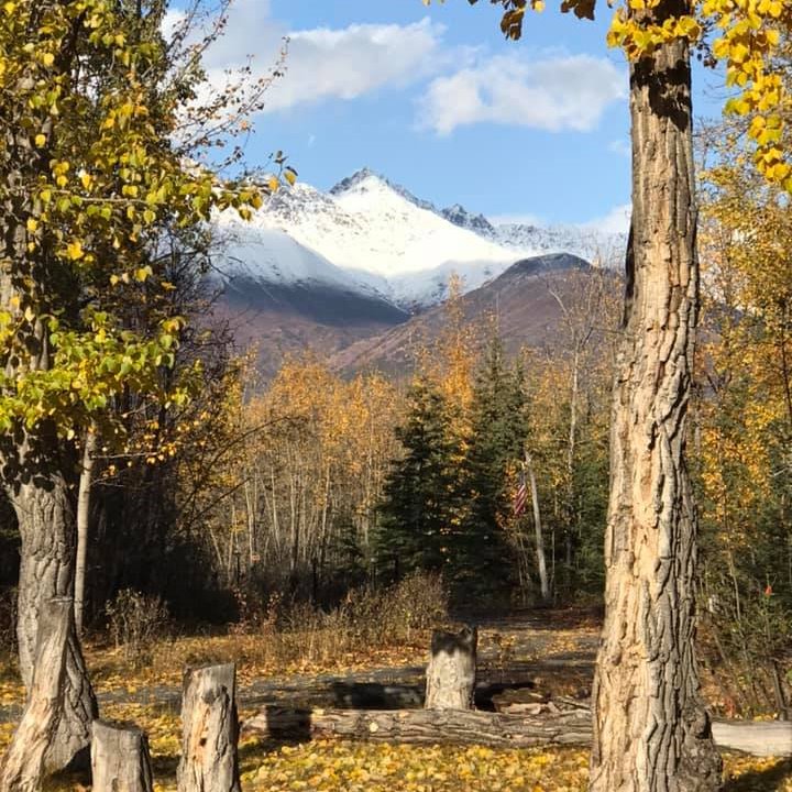 Alas_Kat's tweet photo. A beautiful afternoon in the Knik Valley today. #FromTheDriveway #SeasonsChange #ILoveAlaska @frostbittenman @Dobrinen5 https://t.co/6y85KVtcwd