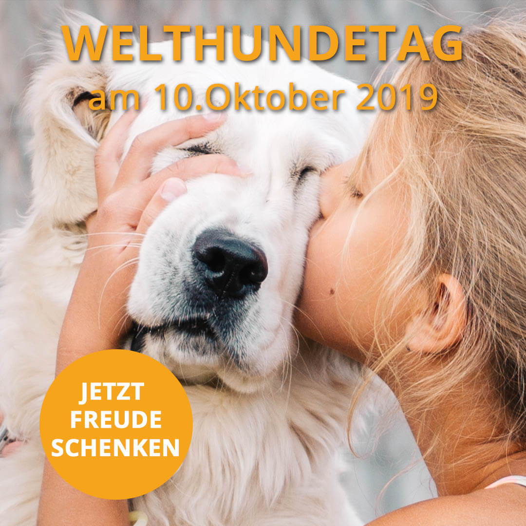 leckerchen24's tweet photo. Am 10.10.2019 ist Welthundetag!
Schenken auch Sie ihrem Liebsten ein besonderes Leckerchen. Hier https://t.co/oOjjiECdnP finden Sie nur die Leckersten. #welthundetag #hundeliebe #hunde #leckerchen24 #premiumleckerchen https://t.co/9RVreW6axd