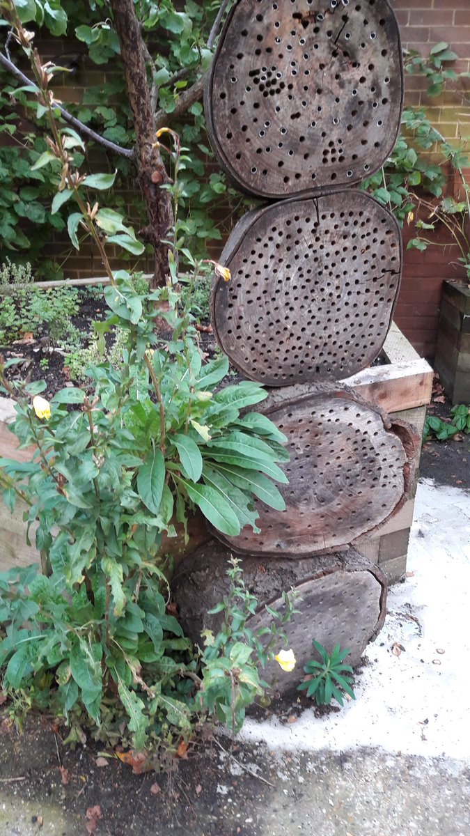 Chldminderlea's tweet photo. Foodie heaven! Delicious beetroot, herbs and honey at last night's Autumnal feast from the talented and well-organised @GetStuffedCo at our favourite #communitygarden @BeeUrbanLondon and such wonderful company of #beekeepers #communityartists Thank you! https://t.co/uTYqCjEyH6