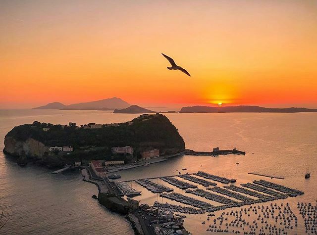 Igers_Napoli's tweet photo. Buongiorno!💙
#igersnapolidaily
Foto di @armandusss
scelta da @pedro_cn
Follow & Tag your pix #igersnapoli
Scopri tutte le news su https://t.co/Aa6YTlg6Z9
Seguici su FACEBOOK
#igersitalia
#igerscampania
#youmobile
#italia365
#igersnapoletani
#italia
#italy
#napoli
#iger… https://t.co/rbUVQNauI3