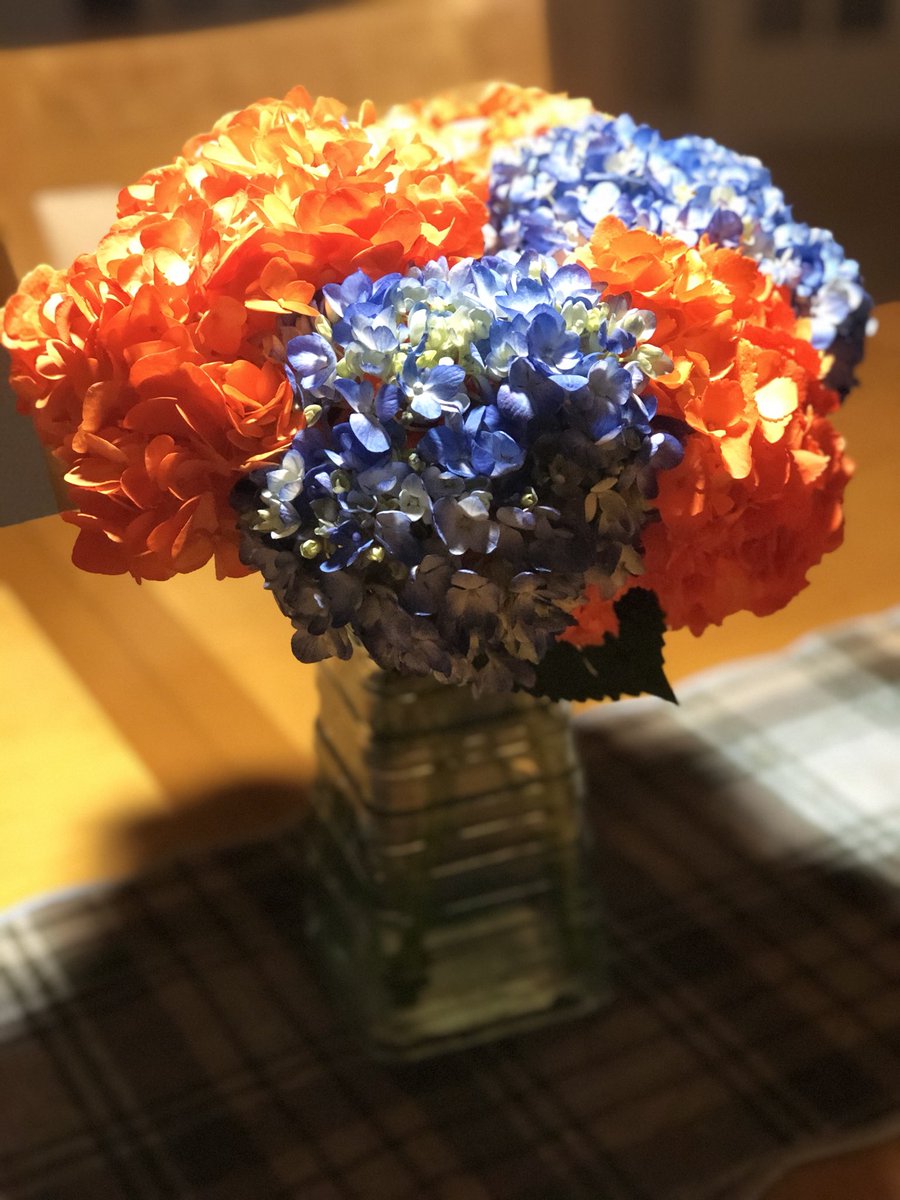 bearsfan702's tweet photo. Even when I buy DA wife some flowers I got to rep DA Bears!! 🐻⬇️ ⁦@ChicagoBears⁩ ⁦@TheRealStaley⁩ ⁦@FiftyDeuce⁩ ⁦@ChaseDaniel⁩ ⁦@DaBearNation⁩ ⁦@WaddleandSilvy⁩ ⁦@thekapman⁩ ⁦@ESPNChicago⁩ ⁦@Mtrubisky10⁩ ⁦ https://t.co/Pv0R7mRfP2