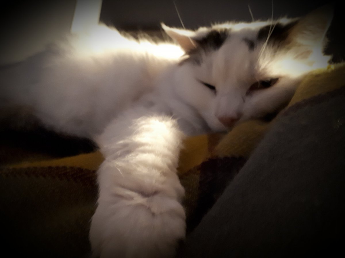 Moh: sometimes she is too cute. Not a morning girl.