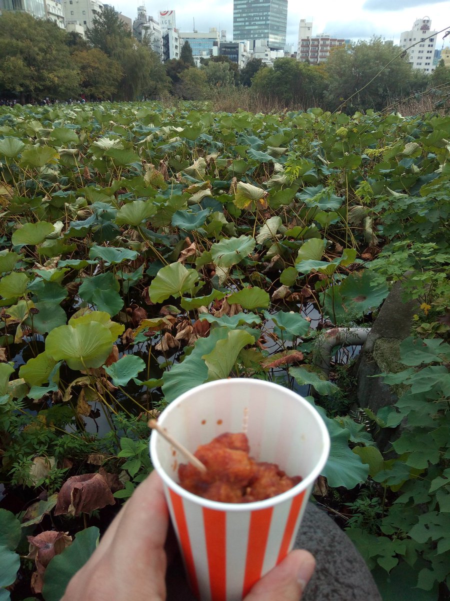 EustessS's tweet photo. I gat fried chitten near a pond woot https://t.co/r9qoE45UM9