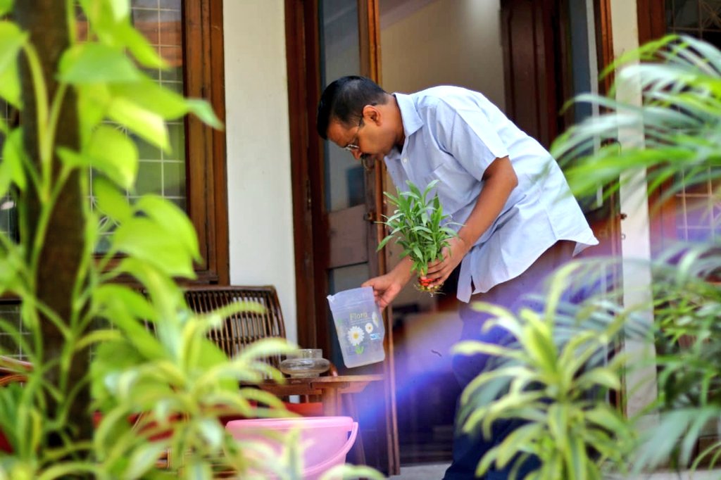 AligarhT's tweet photo. Delhi#CM ने आज अपने घर की चेकिंग की। उन्होंने कहा की मुझे खुशी है कि इस साल हम सब की मेहनत से डेंगू के केस बहुत कम हुए हैं।10Hafte10Baje10Min अभियान के तहत हम सभी को ���ुछ और हफ्ते चेकिंग करनी होगी, क्योंकि डॉक्टरों का मानना है की डेंगू का खतरा 15 नवंबर तक होता है। @ArvindKejriwal https://t.co/FZBz04BaiI