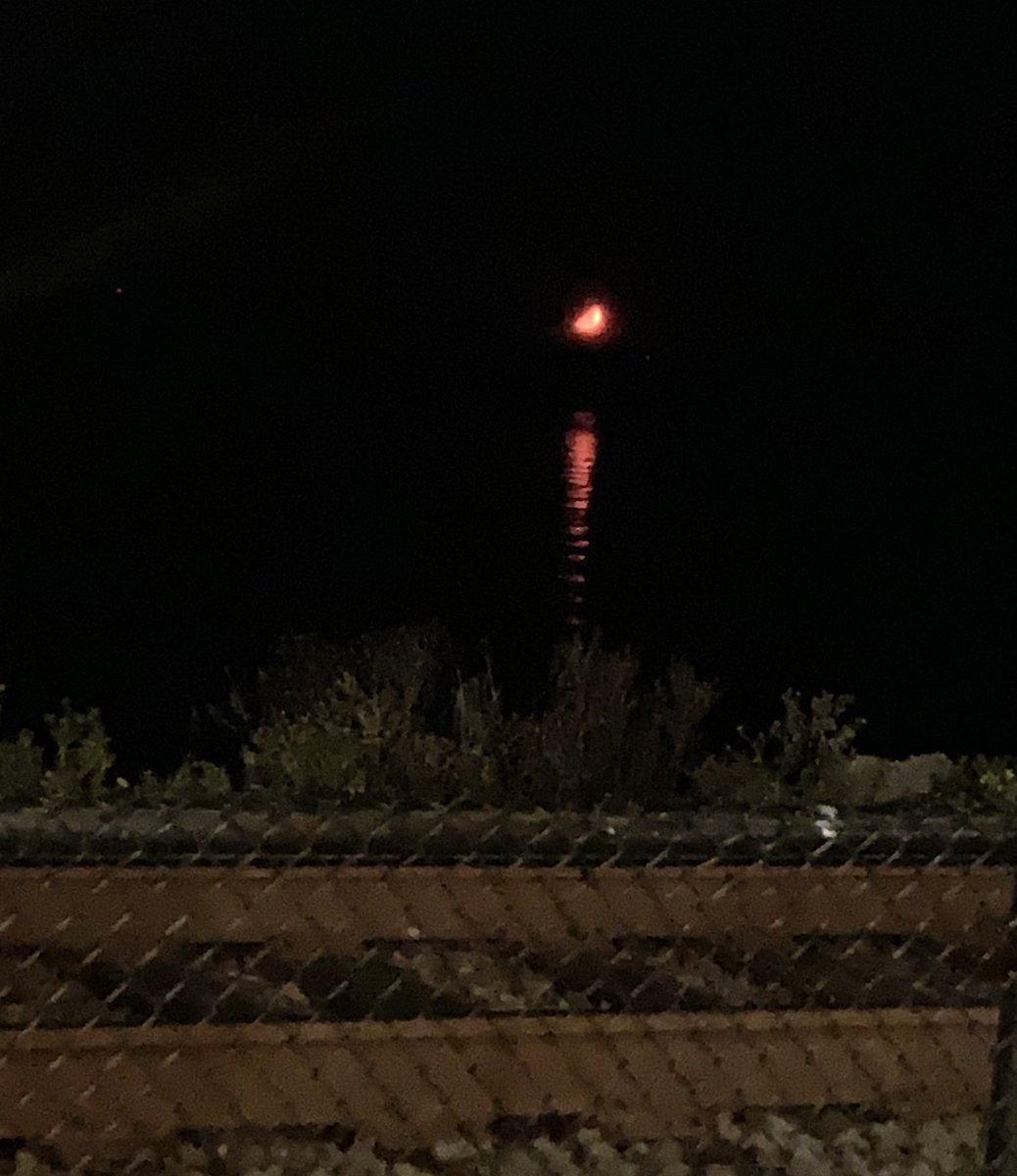 pnaught13's tweet photo. Took the dog for a late walk tonight, here’s what the moon looked like before disappearing below the horizon. #evilmoon #octobermoon https://t.co/n2jvzXEvSE