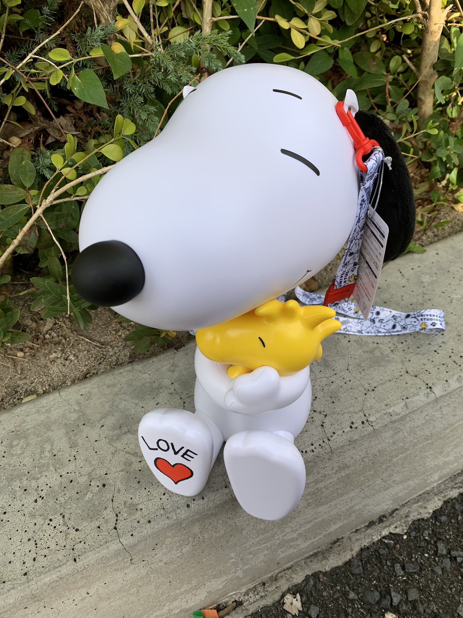 Yuu Pop大好き スヌーピーポップコーンバケツ買っちゃったw Usj Usjファン T Co Vqgjkkyj3f Twitter