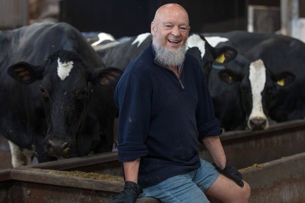 Rey_DelMal's tweet photo. Are you vegan and thinking of going for Glastonbury tickets? Here is a gentle reminder that if you do , you are helping sustain a working dairy farm. What’s more important? Their lives or a weekend of fun? Choose another festival. #GlastonburyTickets https://t.co/VEkEFZYt5q