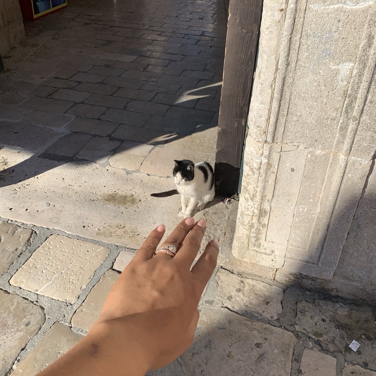 LataKiVailea's tweet photo. Arya really was chasing cats out here #WaterDancing #KingsLanding https://t.co/Vd5OlkaLY7