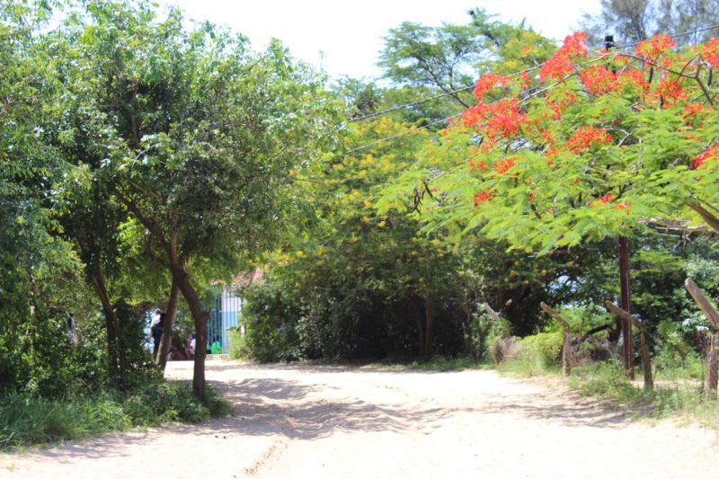 InhacaI's tweet photo. #Inhaca #IslandExplorer #BeautifullIsland #ExploreMozambique #EcoWildRoute https://t.co/eKNPONlsYZ