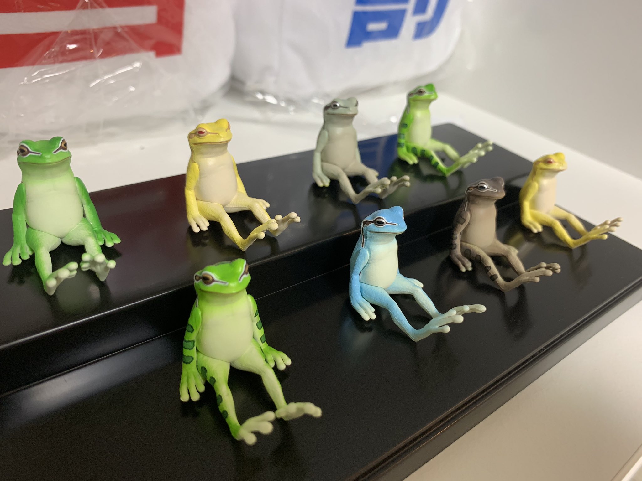 はじめしゃちょー Hajime カエルが座ってるフィギュアがかわいすぎてコイツらのためにショーケースまで買っちまったよ はじめしゃちょー Hajime カエルが座ってるフィギュアがかわいすぎてコイツらのためにショーケースまで買っちまったよ