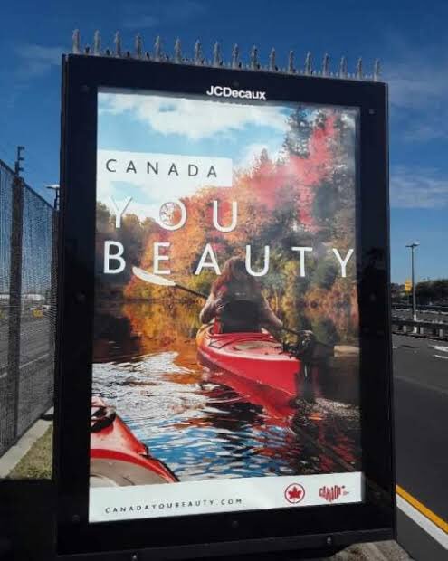 simmodross's tweet photo. When did #canada become the new #Jesaulenko ?? #youbeauty https://t.co/QKBX9yc7SS