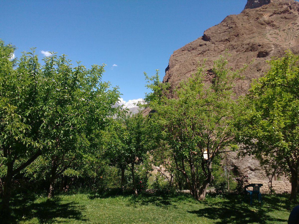 spring season after raining