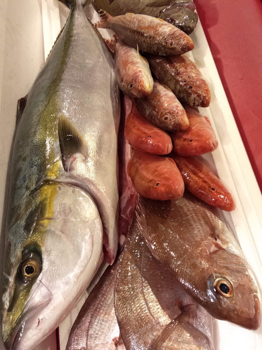 京都たかばし 漁港直送 居酒屋 ほらほら 只今お店へ帰還 本日の漁港直送のお魚さんたちが到着 わかっていたけどオープンまで修羅場です O しかもかなり良い状態の魚たちに感激o O O ほらほら 居酒屋 京都 漁港直送 Izakaya Kyoto