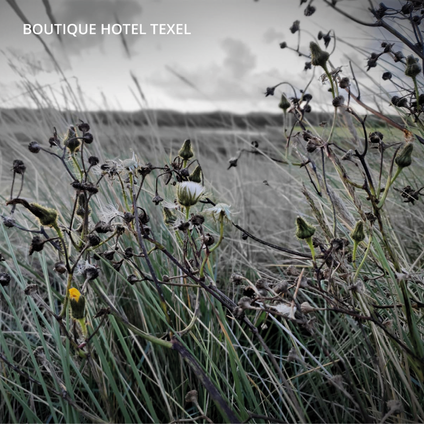 De prachtige kleuren van De Slufter. Live life in warm yellow. 💛 #sluftertexel