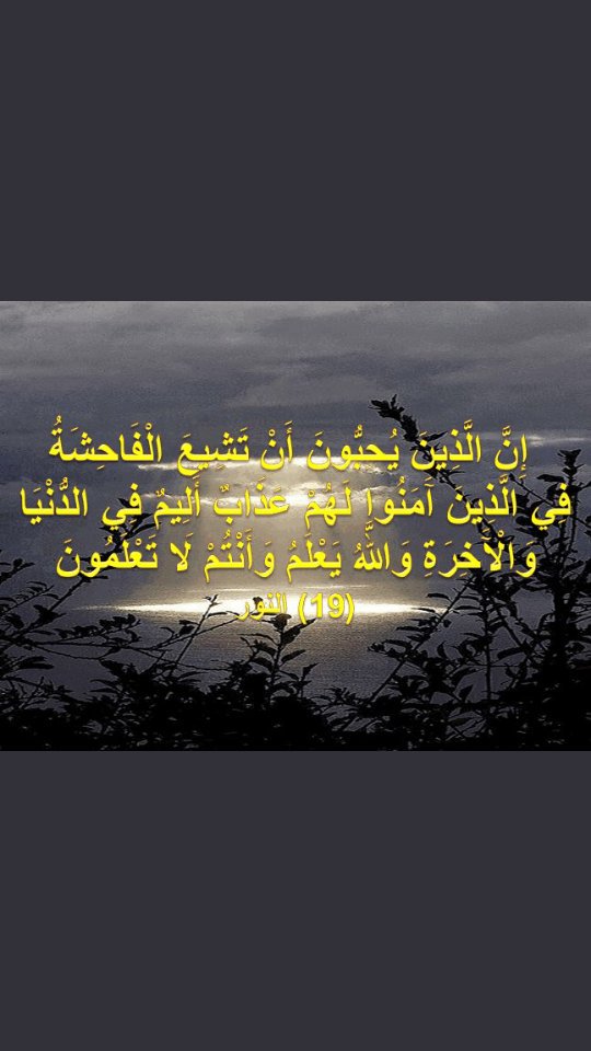 Ax235864993's tweet photo. #كم_لك_حبيبه https://t.co/vJQwCy6zJA