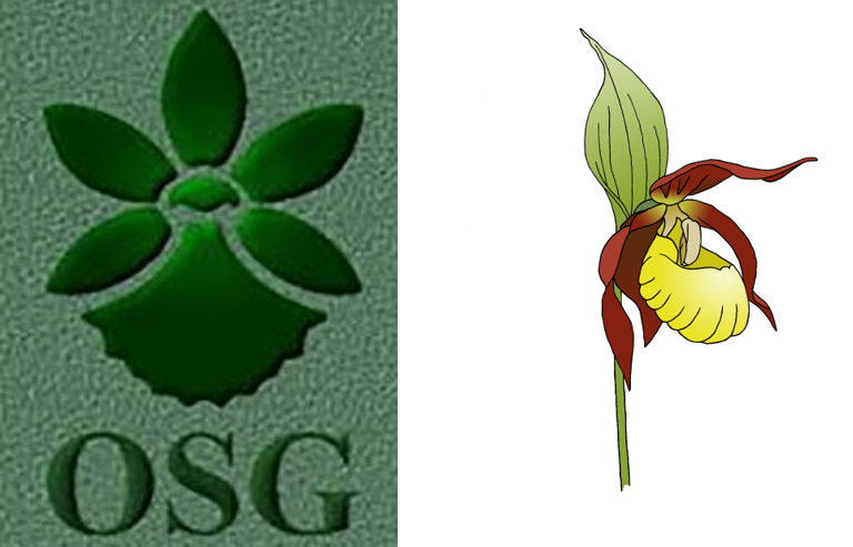 michaelffay60's tweet photo. @DanChallender @IUCNssc @IUCN @jonparod @simonstuartSE @follow_the_hoff @orchiddelirium @MrsRachHoff @PangolinSG @AmandaVincent1 @mollykgrace Should we update the logo of the #Orchid Specialist Group? Here is (a version of) the current logo and a possible new one (from #IOCCVII). @orchiddelirium @IUCN_Orchids. What do you think? #WeAreSSC https://t.co/mKQnZINX4q