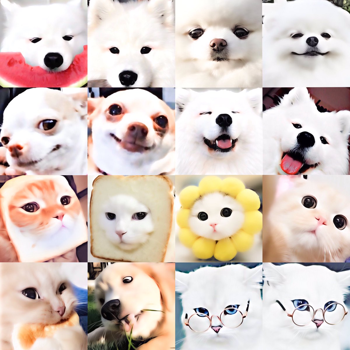 มู๋ตุ๋นคุนแม่ไอ่ปุ๊ก tweet media