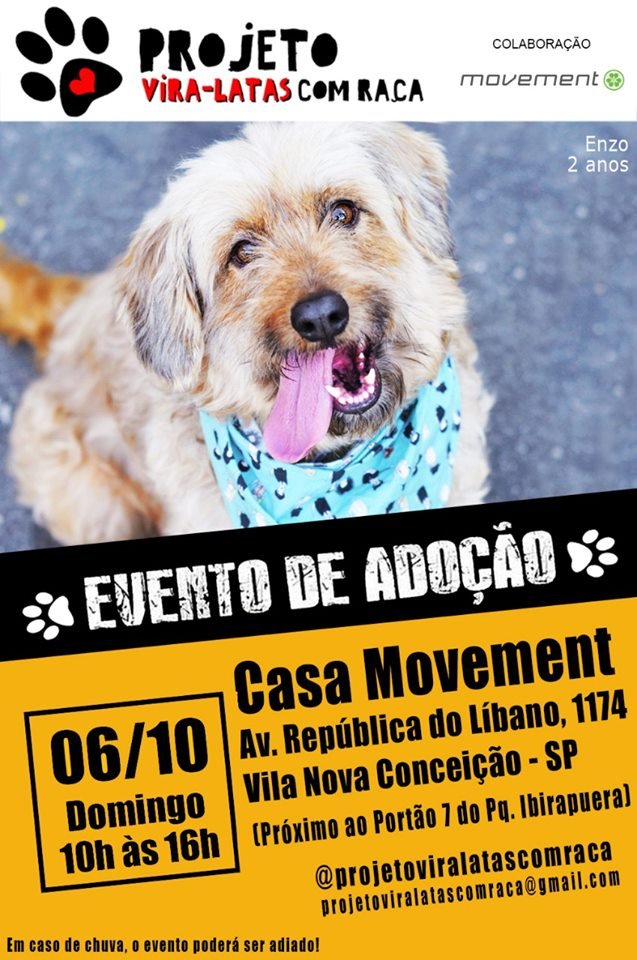 CatCareService's tweet photo. Adote um amor hoje ❤️😻

Local: Av. República do Líbano, 1174 (pertinho do portão 7 do parque Ibirapuera, em SP)

#adocaoconsciente #projetoviralatascomraca https://t.co/D4Wj5uL1uM