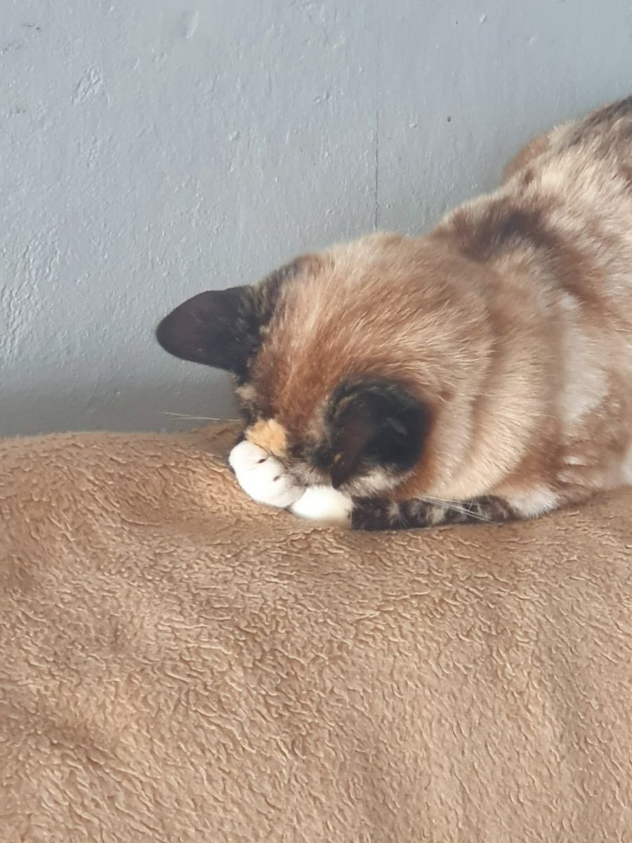 When you wake up after an absolute bender and see the photos that you tried to take in the club