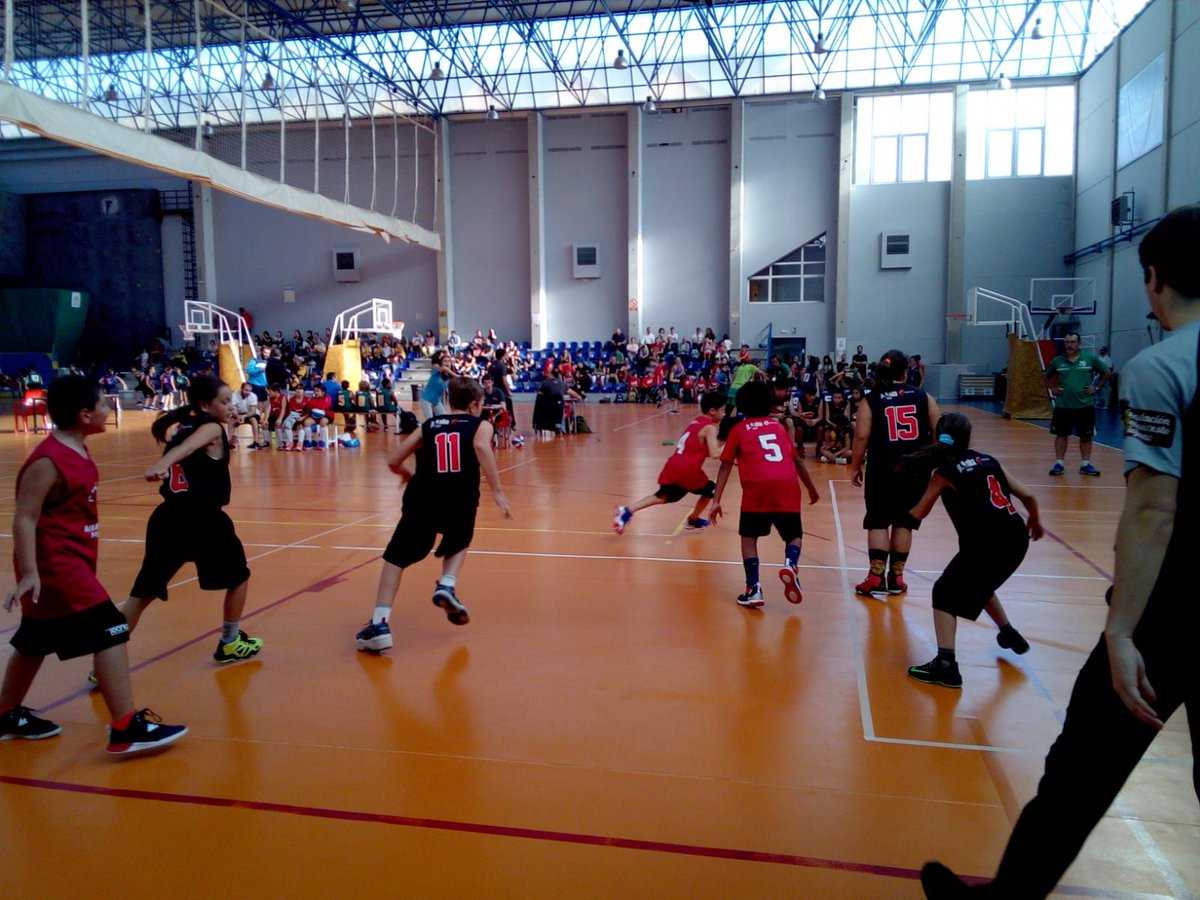 BabyBasketRioja's tweet photo. Ayer nos lo pasamos muy bien en Zaragoza y en la primera jornada de la #NBAJunior. Aquí dejamos algunas fotos de nuestros equipos disfrutando de ambas experiencias, pero si queréis más 👉 https://t.co/UUxHDVfJwU https://t.co/VscZcv6Snd