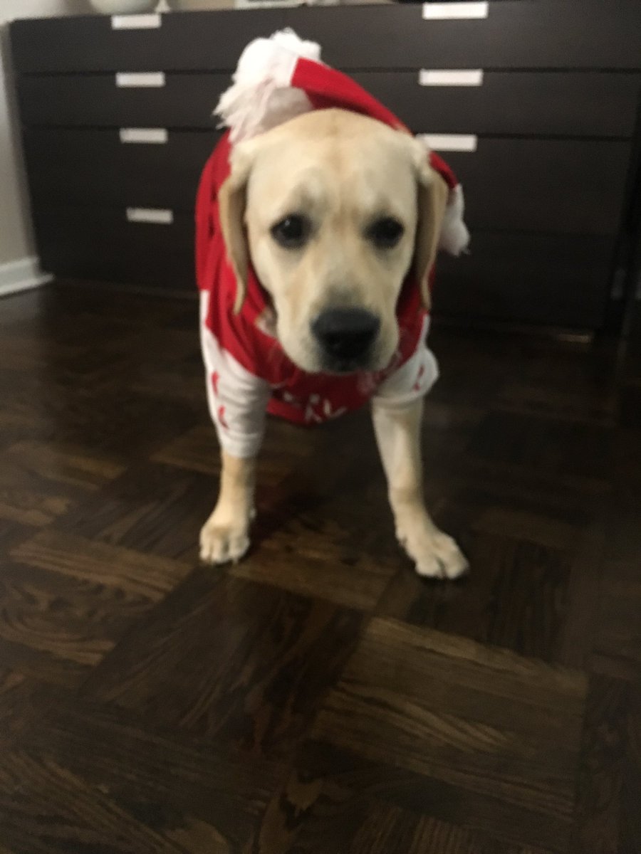 jcaubrey's tweet photo. Come on ⁦@Arsenal⁩! #MyPLMorning https://t.co/lvn334ym0R