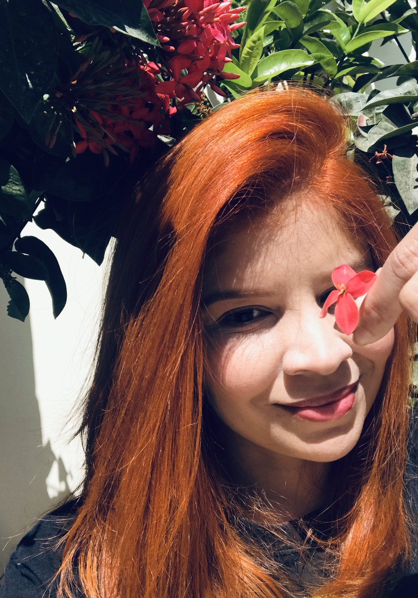 kalinesoliveira's tweet photo. eu tô um nojo, sim ou com certeza? hahahahahahahahaha #redhair #ruivasbr 👩🏻🦰🧡🦊 https://t.co/rqGxHArSht