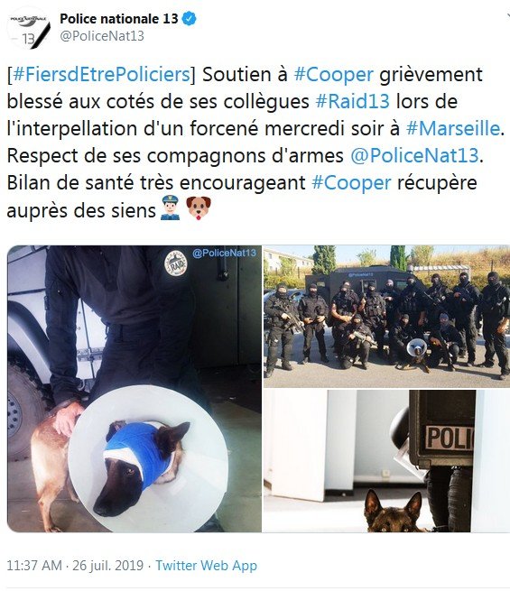 PoliceNat13's tweet photo. [#Cooper] Vous étiez nombreux à demander de mes nouvelles après cette intervention fin juillet !  
Comme vous le voyez sur cette photo de vendredi :
#Rétablissement #PleineForme . Enfin sur pattes avec mes chers collègues du #RAID13. 
Merci pour votre soutien #FierdEtrePolicier https://t.co/jaglyqsnCb