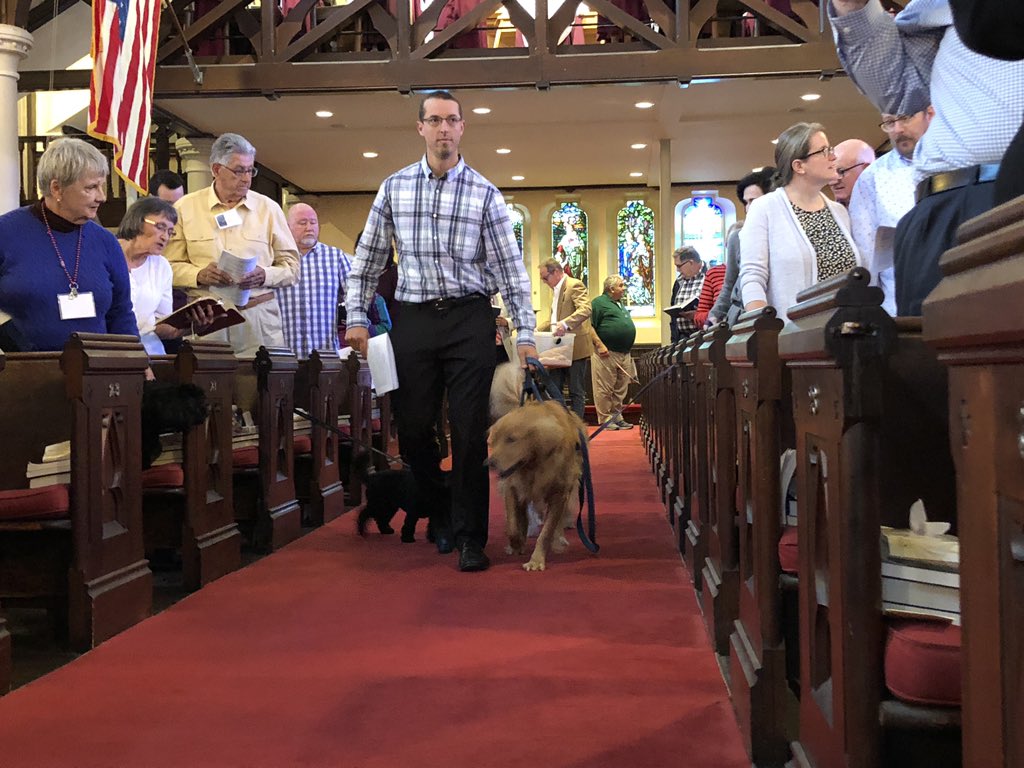 stlukeseg's tweet photo. St. Luke’s is filed with dogs, a chicken, a bearded dragon (!) and a bunch of angels this Sunday morning. #StFrancisofAssisi https://t.co/fZ5MKafogC