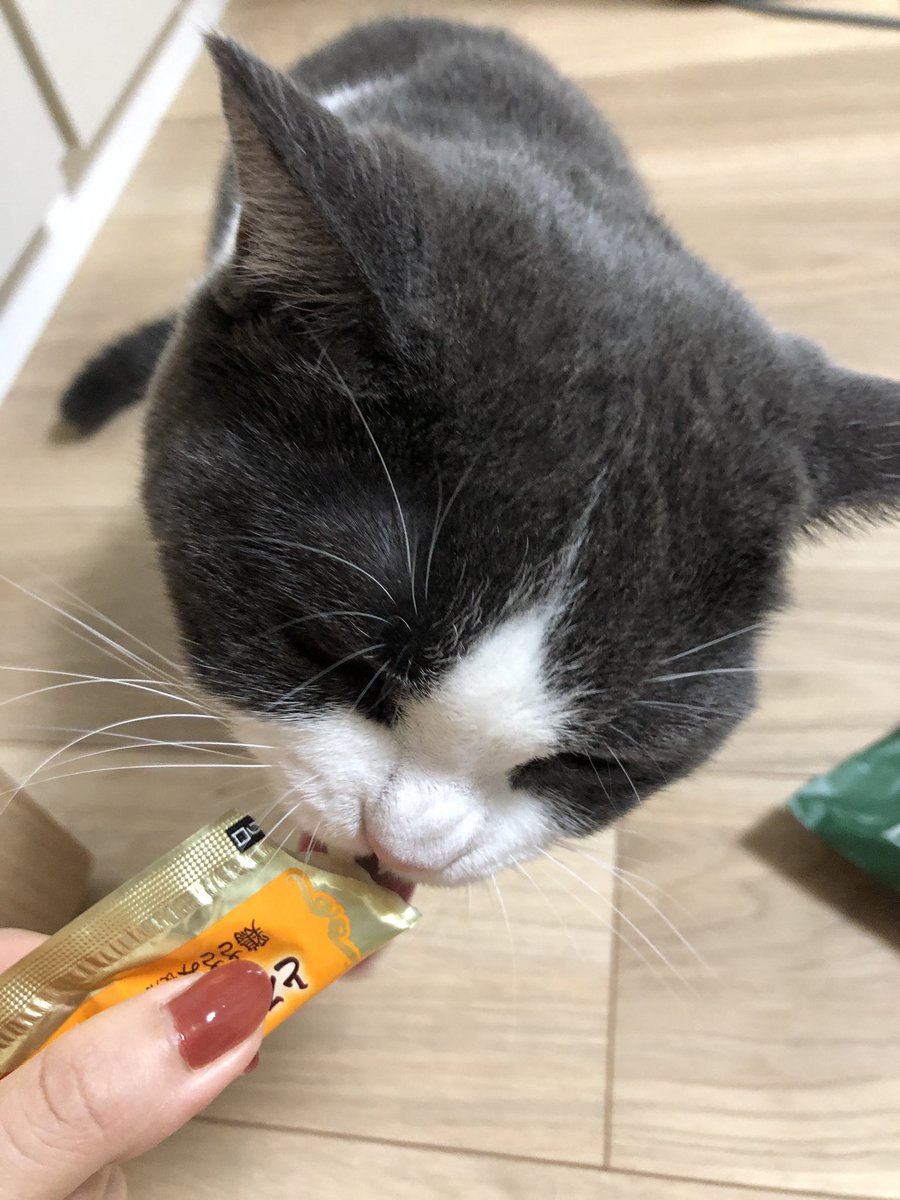 つぐまるにまでお土産をいただき恐縮です。お留守番のご褒美に早速ひとつ…☺️ 