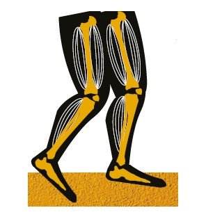 AgeFriendlyLDS's tweet photo. Bones become more fragile as we age, making falls more dangerous. Having a healthy balanced diet can help you get the calcium you need
#agefriendlyLDS #WYFallsPrevention #agewell #fallproof #lookafteryourself https://t.co/mRrgBwEOq3