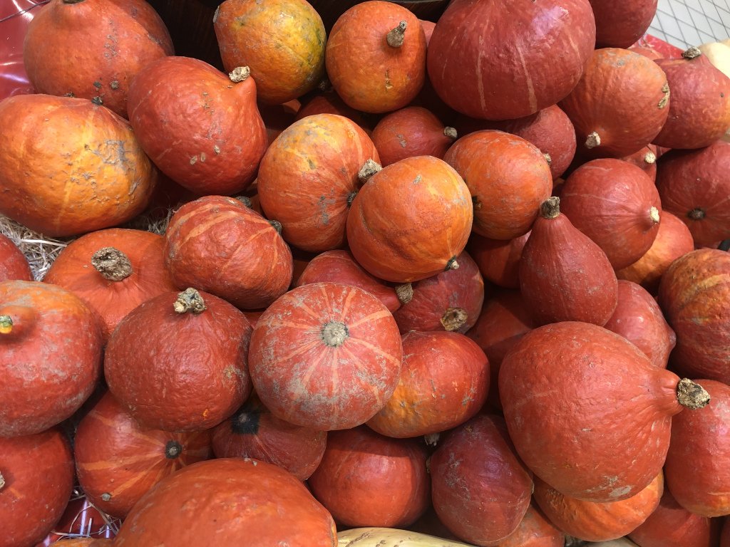 Dimanche ensoleillé ezhikorn.wordpress.com/2019/10/06/dim…