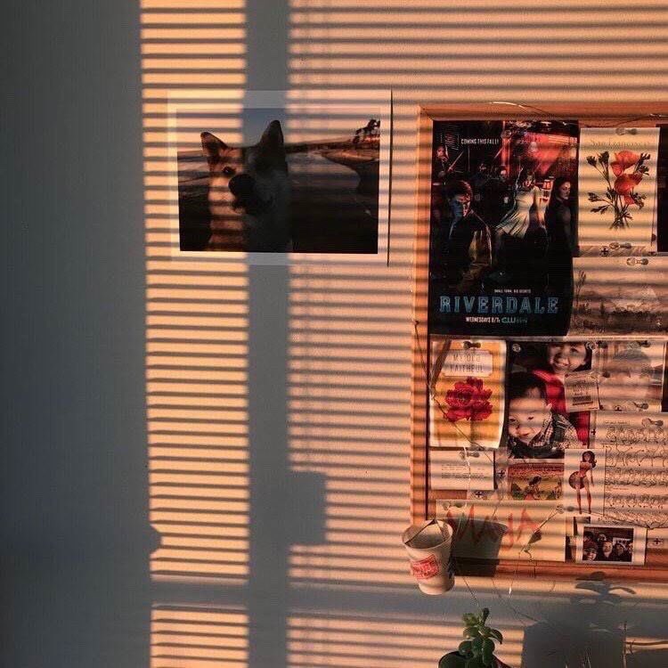 ☻︎ วันศุกร์ ฟอลกลับทำไม55 tweet media