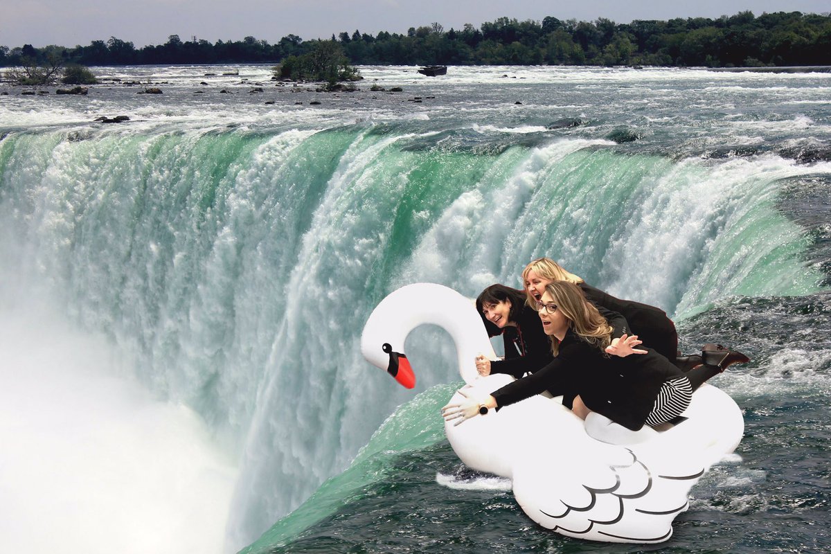 Cathy Harley tweet media