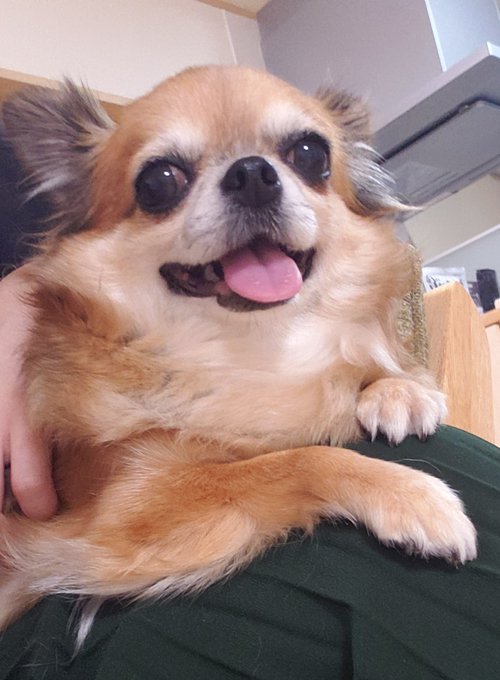 ばれるのtwitterイラスト検索結果 古い順