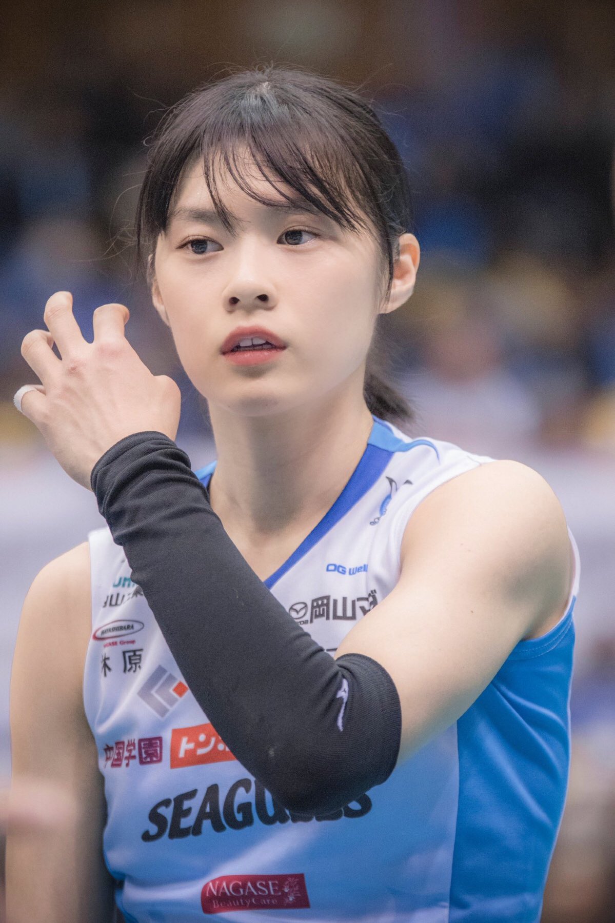 ななはる 宮下遥さんの綺麗なお顔にバーチャルメイクしてみたら もう綺麗すぎて言葉がでない この美しさも彼女の魅力の一つなんだなと 宮下遥 岡山シーガルズ T Co Xrn0hfgpmq Twitter