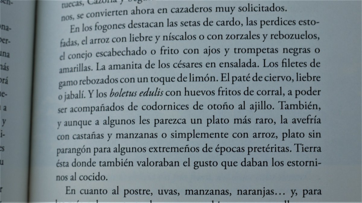 Vicenteamatcaza's tweet photo. Octubre en mi libro "Días de campo, caza y fogones" (fragmento).

*Ilustraciones: Luis Lorenzo Sánchez Diezma
__________________
Información y venta: kalimaeditorial@gmail.com
O llamando al teléfono: 629 98 40 25. https://t.co/OQ0Vxtrk4E