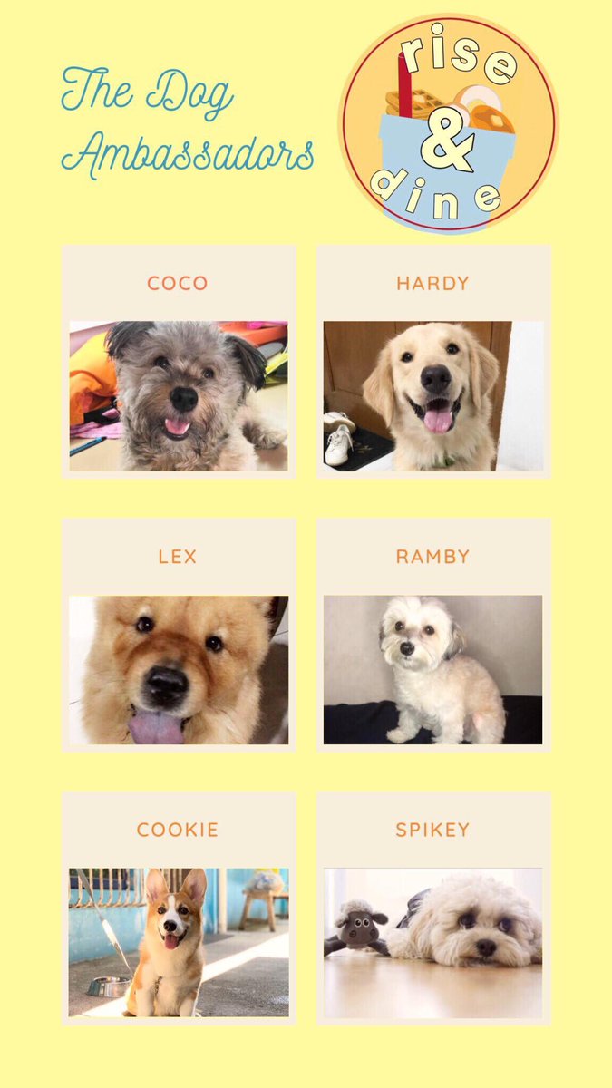 RiseAndDine19's tweet photo. may cute bang gumigising sayo sa araw araw? 😍 O nagpapasaya sayo when you're having a RRRUFFF day? 🤪 kung wala take a look at the cutie doggo ambassadors of Rise and Dine to brighten up your day 🐶 These litol doggos are here to bring cuteness and happiness on your timeline 🥰 https://t.co/p0vDIHPTfQ