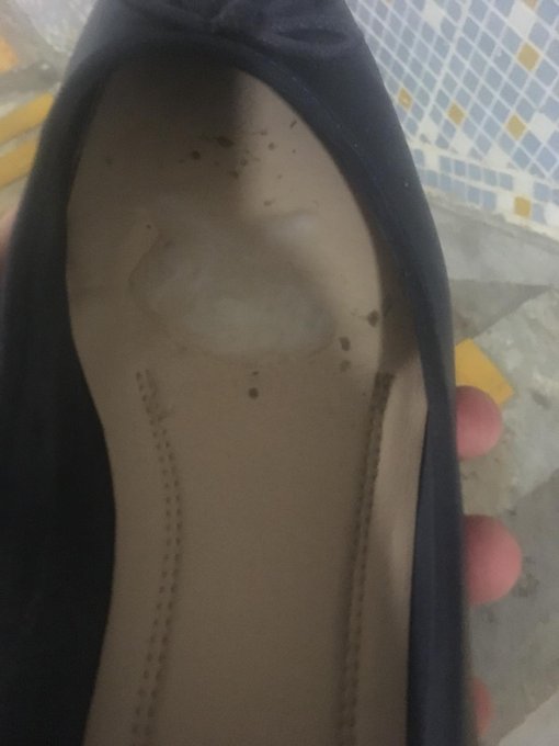 這個太刺激了 差點被發現 最好都完事 !味道還是皮味重 https://t.co/0iQQYumjoK<a href="/tag/sandals"class="tags"><span>#sandals</span></a><a href="/tag/flats"class="tags"><span>#flats</span></a><a href="/tag/slippers"class="tags"><span>#slippers</span></a><a href="/tag/%E5%8E%9F%E5%91%B3"class="tags"><span>#原味</span></a><a href="/tag/%E6%81%8B%E8%B6%B3"class="tags"><span>#恋足</span></a><a href="/tag/%E9%AB%98%E8%B7%9F%E9%9E%8B"class="tags"><span>#高跟鞋</span></a><a href="/tag/%E5%B0%84%E7%B2%BE"class="tags"><span>#射精</span></a><a href="/tag/%E6%B6%BC%E9%9E%8B"class="tags"><span>#涼鞋</span></a>