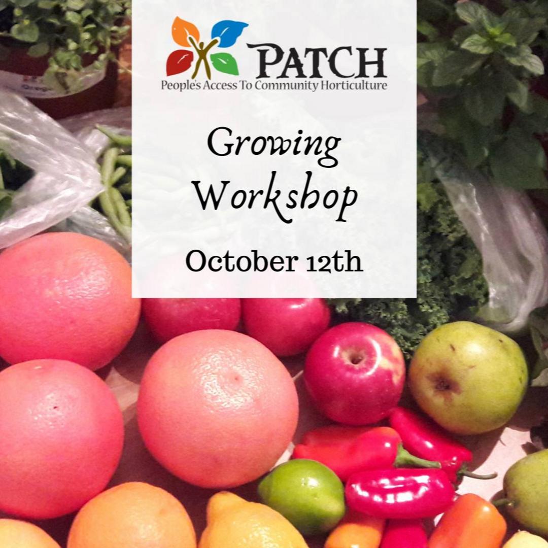 DaniaBeachCRA's tweet photo. This Saturday is the Growing Workshop at The PATCH Garden in #DaniaBeach! Join Master Gardener Elizabeth Roberts as she teaches us how to grow our own food. 

1201 W. Dania Beach Blvd
Register for this FREE event here: 
https://t.co/O3lTj4WDea

#Growing #Garden #Food #Dania https://t.co/e3Jl7zuiIO