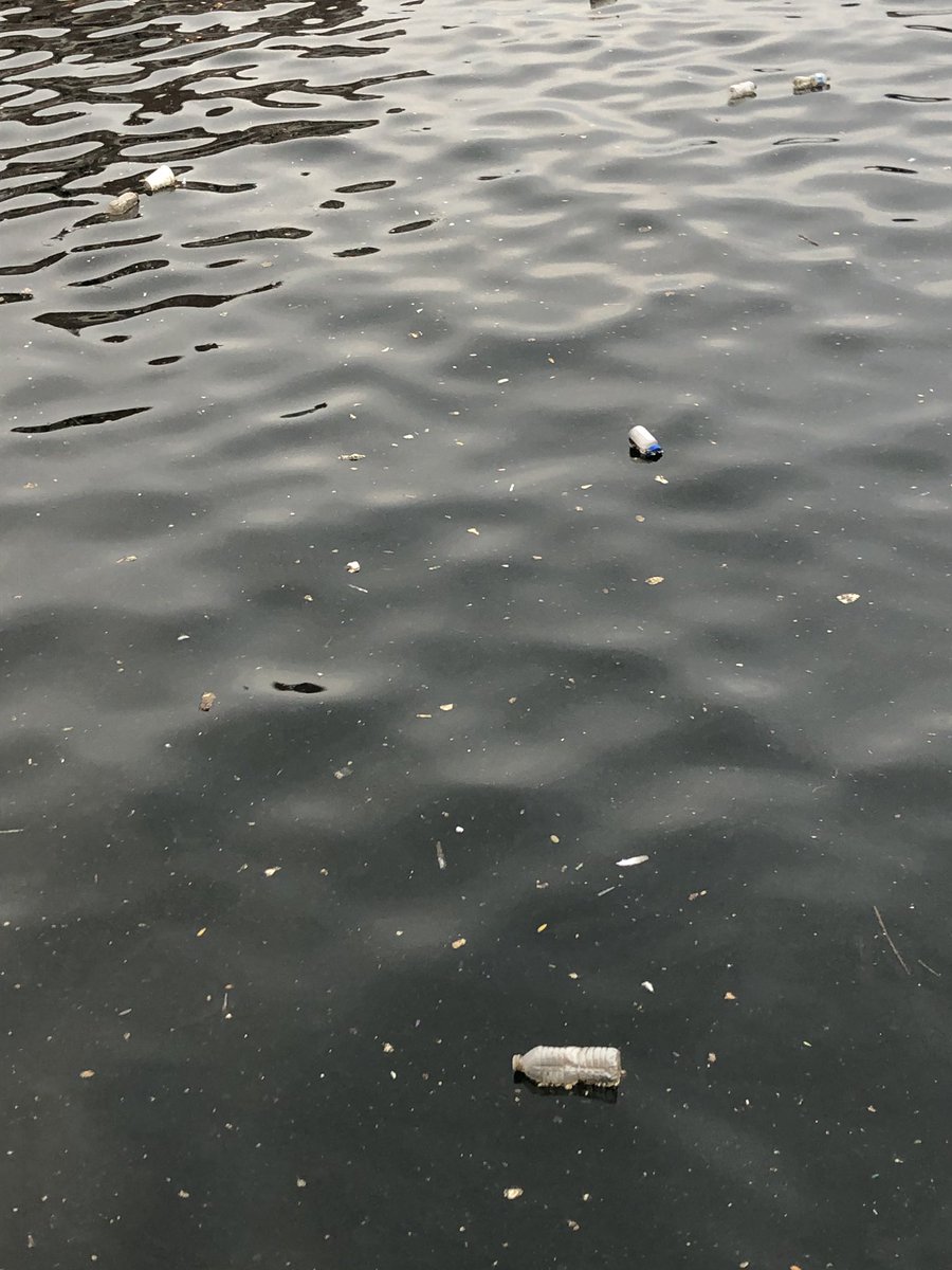 recyclerunners's tweet photo. Why we exist... from streets to harbor @recyclerunners @IndiaPlogga @PloggingGB @ploggingnigeria https://t.co/cFiQ01xI6w
