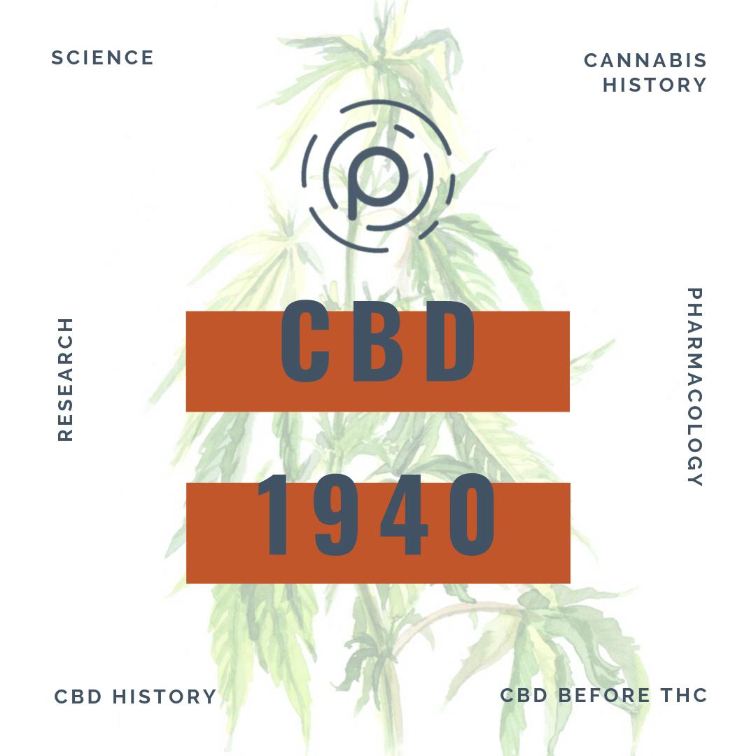 Texas_Cannabis's tweet photo. Check out this review summarizing 66 yrs. of #cannabis research - lots learned since 2006! πPebble knows that #Education is key for everybody to understand the potential of #CBD ! ππ±
(Yes, we made it rhyme π)
#cannabishistory #cannabiseducation #CBDEd
https://t.co/rLEqxIvqQU https://t.co/W2hhWc1ZNK