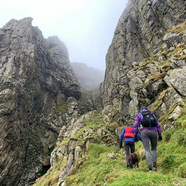 Leg 3 - Dunmail to Wasdale started off as great fun, lots of bogs to play in, sheep poo to sniff and many human walkers providing sandwich crusts and belly rubs. We bounded up Lord’s Rake and the West Wall Traverse. The humans kept telling me to stay awa… ift.tt/30RlxOE