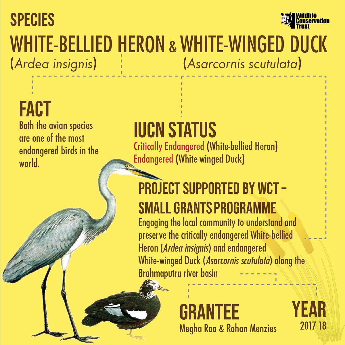 Manas National Park- cbseinsights.com