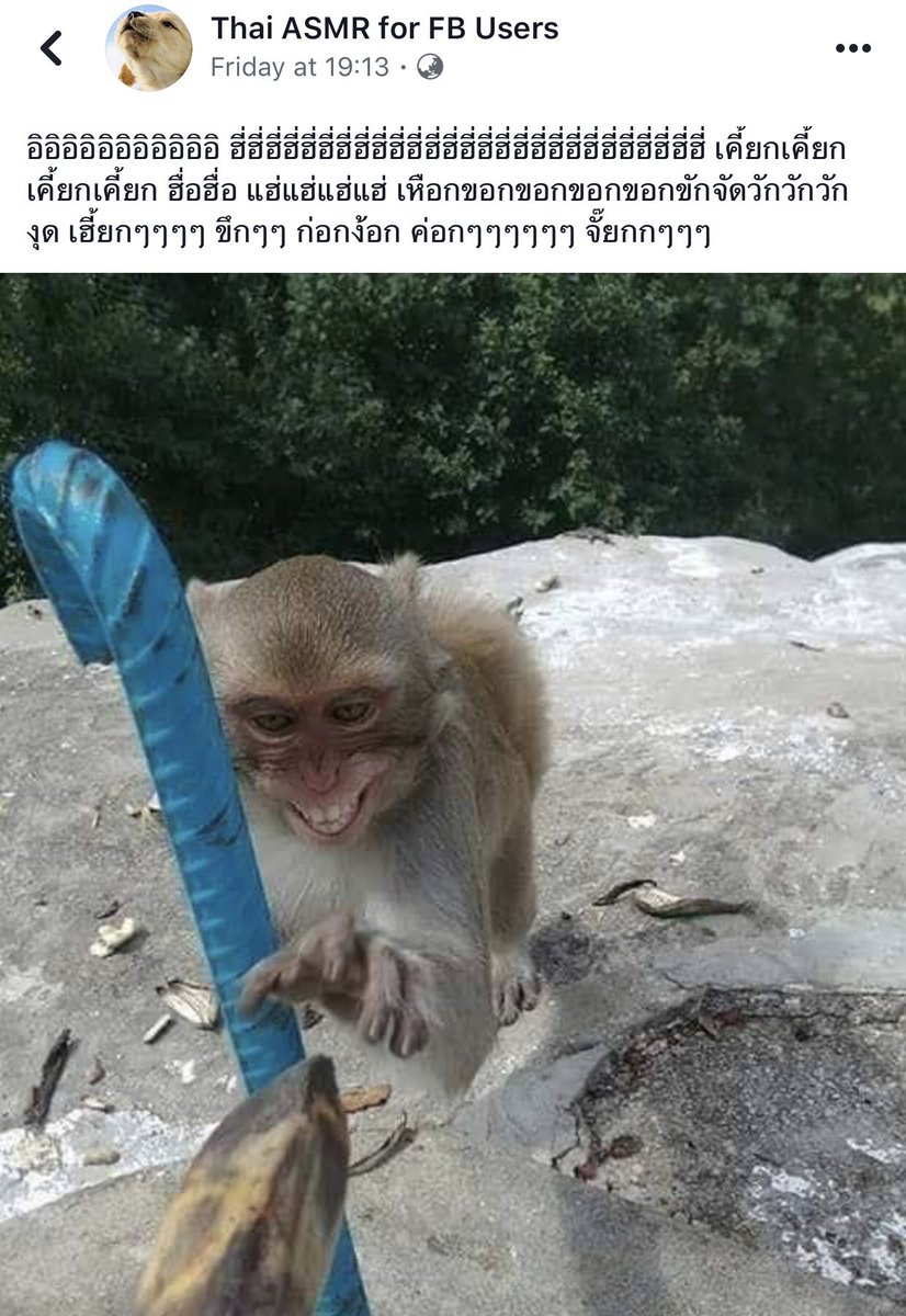` . ♡ มัมหมีน้องรูล ·° tweet media