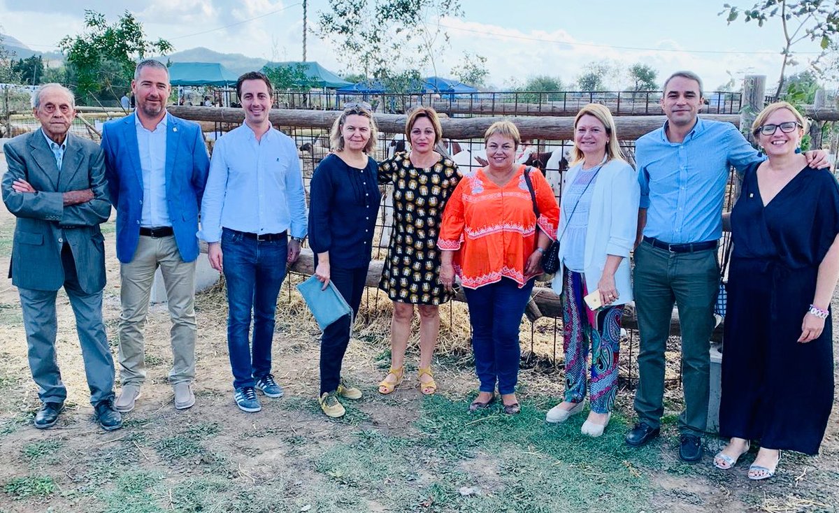 consell_pp's tweet photo. El nostre suport a les tradicions, a la gent, als pobles i a tota #Mallorca en general és incondicional. Avui, @Ll_Galmes i @SalomJeroni a les fires d’ #Alcúdia i d’ #Alaró perquè #feimPPoble #enPPositiu https://t.co/TyGUy9xex7