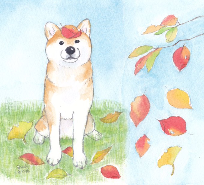 柴犬 高画質 のtwitterイラスト検索結果 柴犬 高画質 のtwitterイラスト検索結果