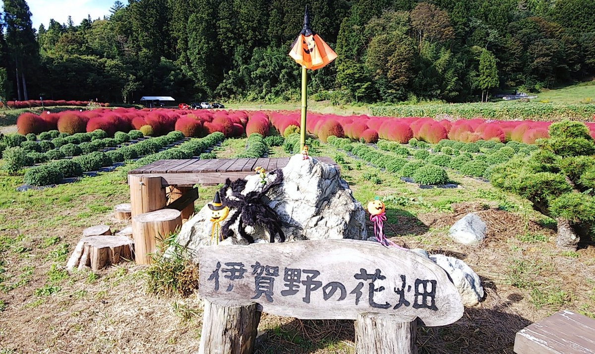 花畑 の 伊賀 野