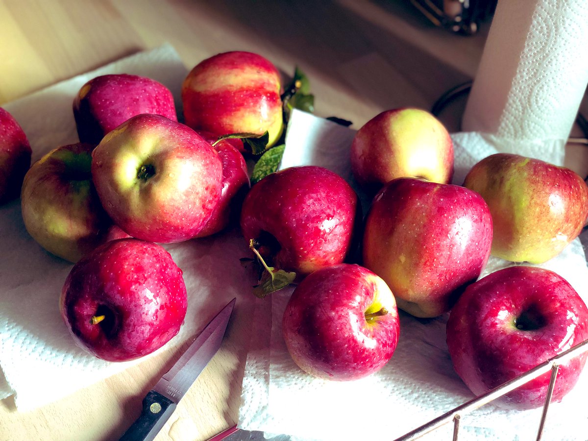 MaxEmu5's tweet photo. #Fresh vs #supermaket 

(Apple on the left) Picked from our Grandad’s apple tree 
(Apple on the right) picked from Asda 
Not only is the natural fresh picked apple almost double in size they are by far the juiciest apples I’ve ever tasted #juicyapples #homegrown https://t.co/tb6FEBrgB0